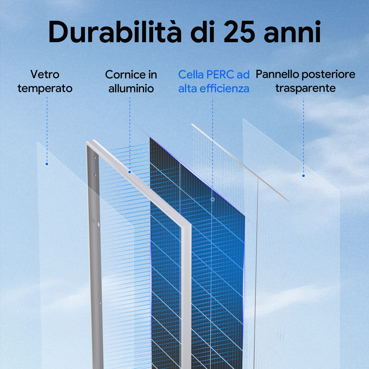 ECO-WORTHY Bifacciale 195W 12V Pannello Solare Monocristallino