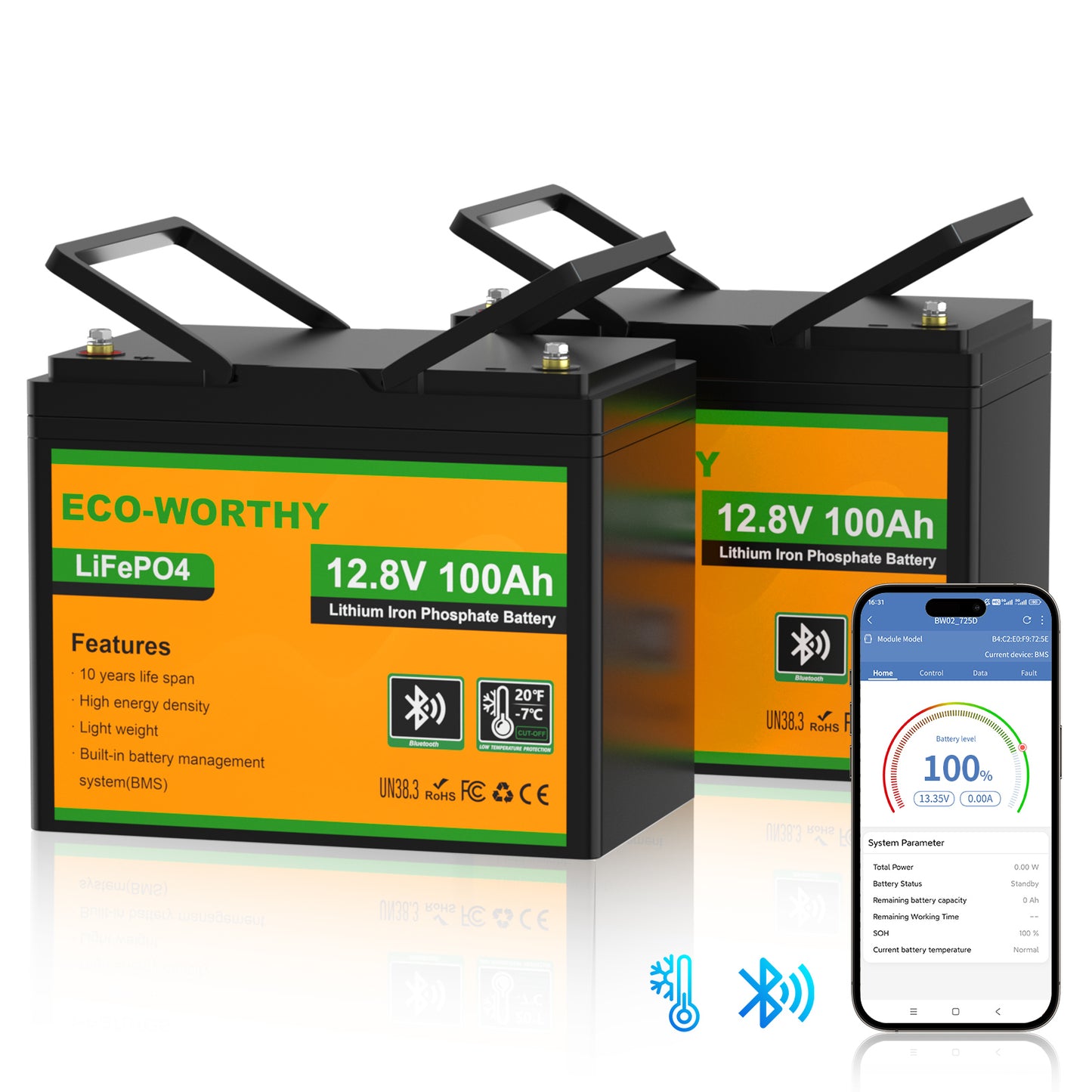 Batteria al litio LiFePO4 12V 100Ah con Bluetooth e protezione dalle basse temperature