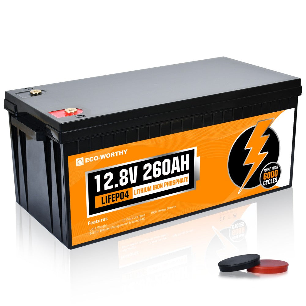 ECO-WORTHY Batteria al litio ricaricabile 12V 30Ah LiFePO4 con oltre 3000  cicli profondi e protezione