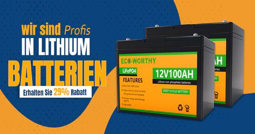 I pro e i contro dei diversi tipi di batteria - eco-worthy-it