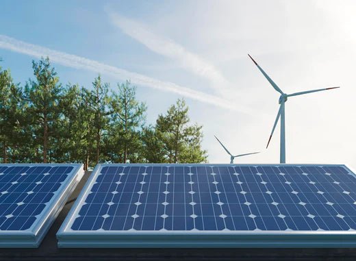 Cos'è esattamente uno starter kit? - eco-worthy-it