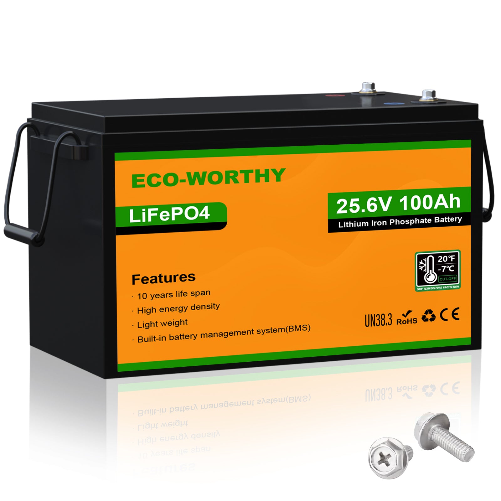 Batteria al litio 24V 100Ah LiFePO4—Protezione Dalle Basse Temperature