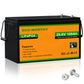 Batteria al litio 24V 100Ah LiFePO4—Protezione Dalle Basse Temperature