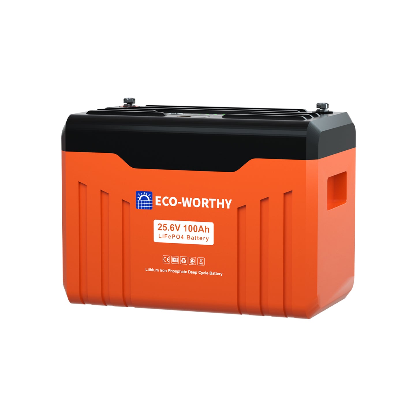 Batteria al litio Bluetooth LiFePO4 da 24 V e 100 Ah con protezione dalle basse temperature, luce LED SOC e BMS da 100 A