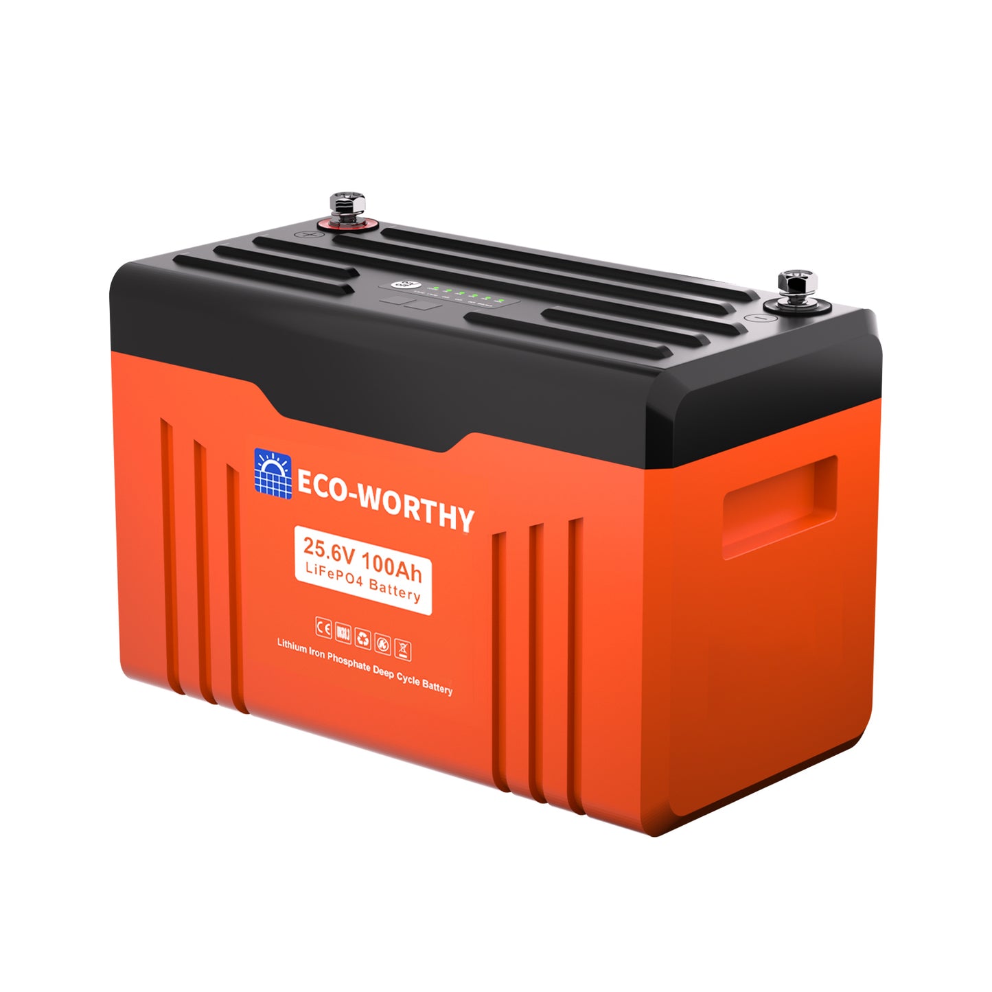 Batteria al litio Bluetooth LiFePO4 da 24 V e 100 Ah con protezione dalle basse temperature, luce LED SOC e BMS da 100 A