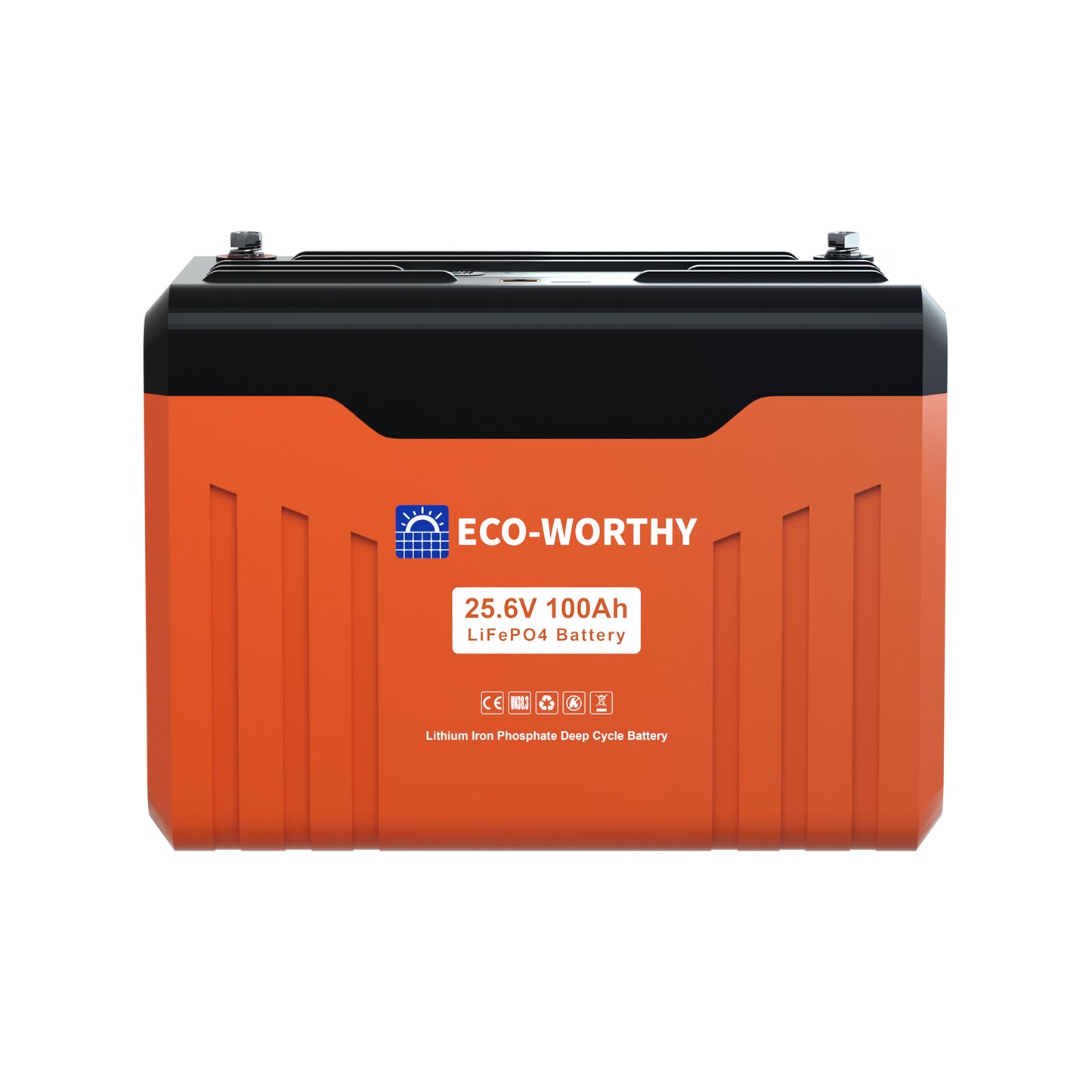 Batteria al litio Bluetooth LiFePO4 da 24 V e 100 Ah con protezione dalle basse temperature, luce LED SOC e BMS da 100 A