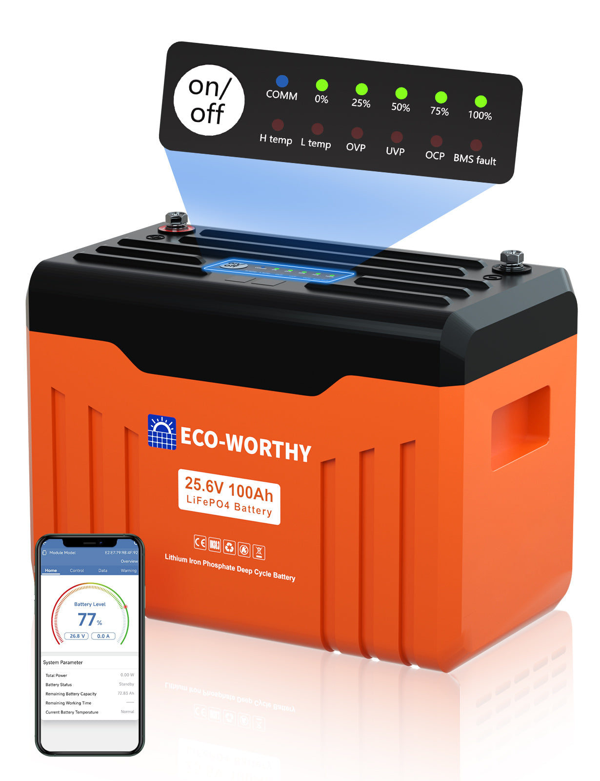 Batteria al litio Bluetooth LiFePO4 da 24 V e 100 Ah con protezione dalle basse temperature, luce LED SOC e BMS da 100 A