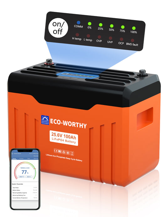 Batteria al litio Bluetooth LiFePO4 da 24 V e 100 Ah con protezione dalle basse temperature, luce LED SOC e BMS da 100 A