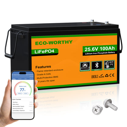 Batteria al litio Lifepo4 da 24V e 100Ah con Bluetooth e protezione dalle basse temperature
