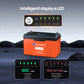 Batteria al litio Bluetooth LiFePO4 da 24 V e 100 Ah con protezione dalle basse temperature, luce LED SOC e BMS da 100 A