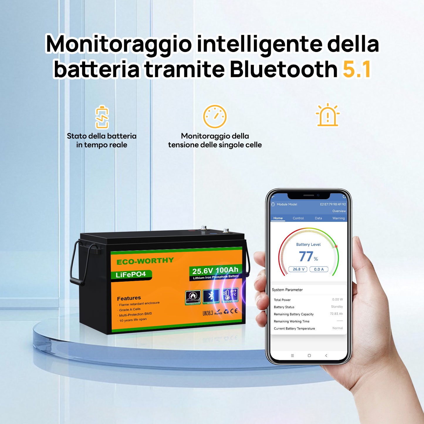 Batteria al litio Lifepo4 da 24V e 100Ah con Bluetooth e protezione dalle basse temperature