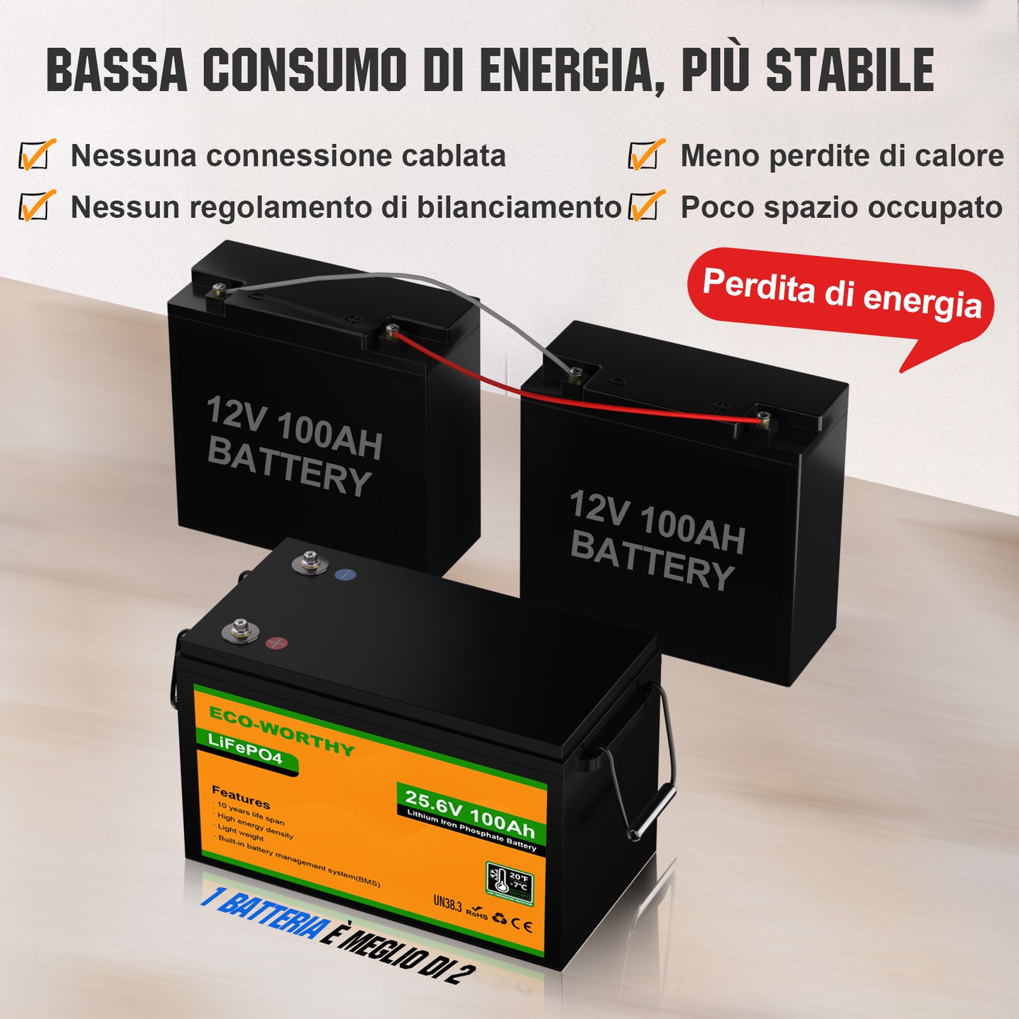 Batteria al litio 24V 100Ah LiFePO4—Protezione Dalle Basse Temperature