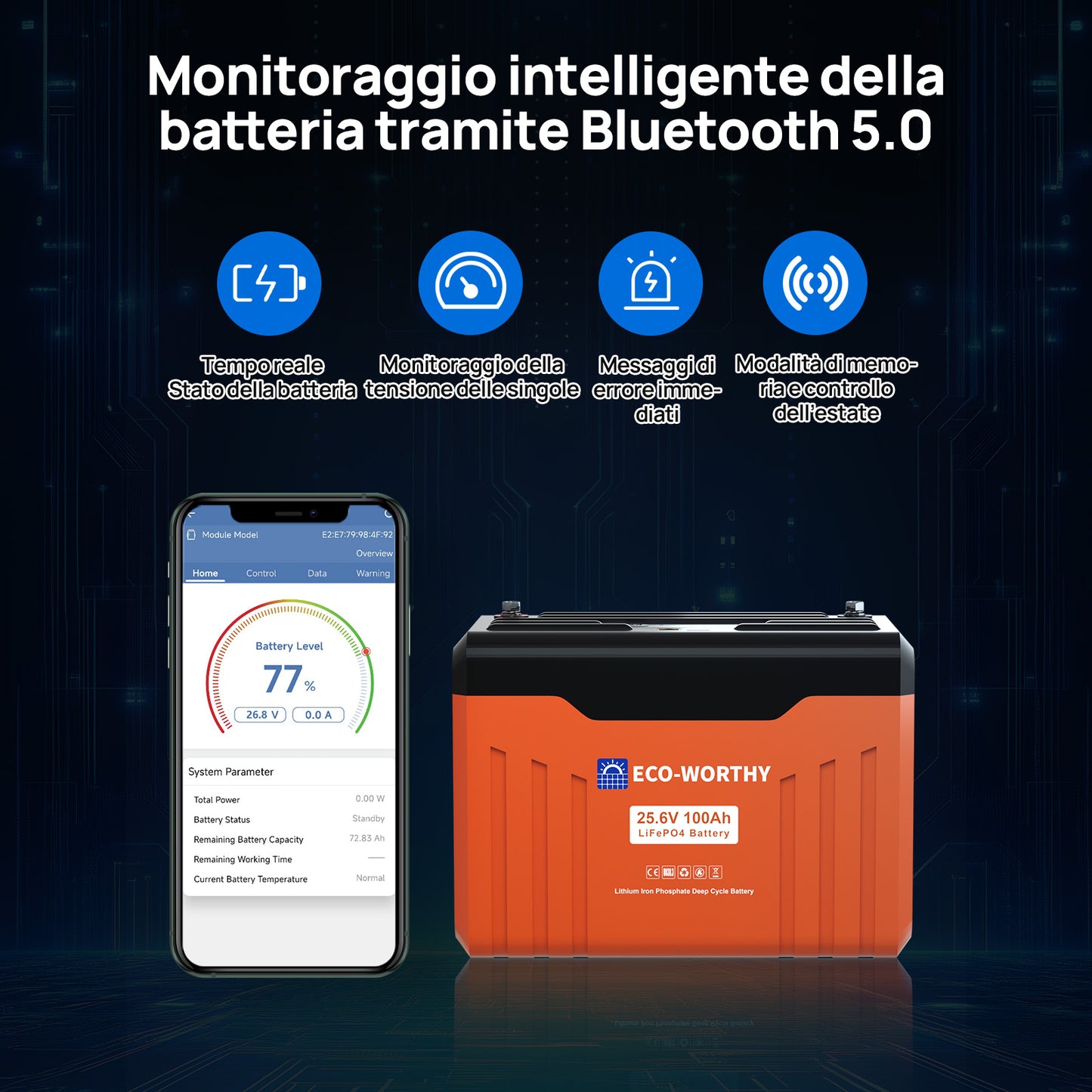 Batteria al litio Bluetooth LiFePO4 da 24 V e 100 Ah con protezione dalle basse temperature, luce LED SOC e BMS da 100 A