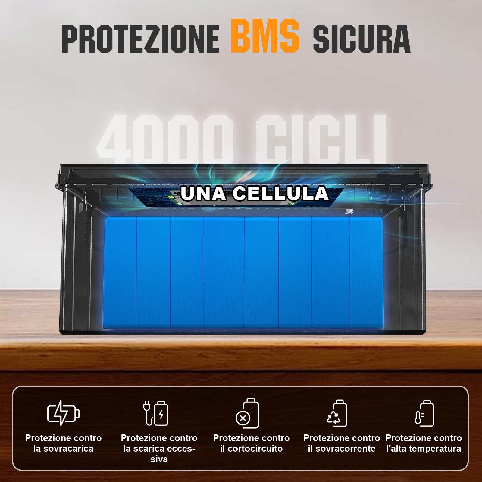 Batteria al litio 24V 100Ah LiFePO4—Protezione Dalle Basse Temperature