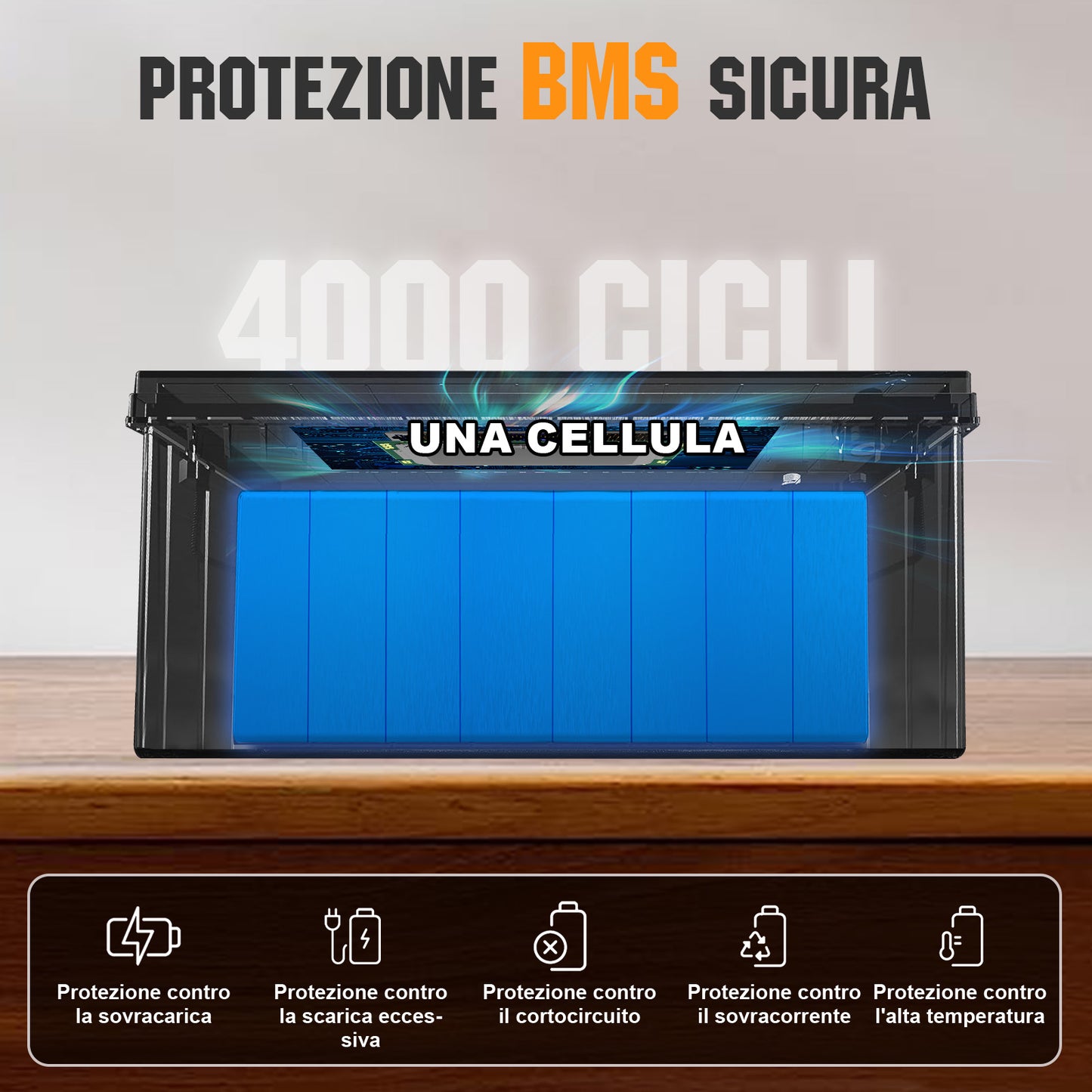 Batteria al litio 24V 100Ah LiFePO4—Protezione Dalle Basse Temperature