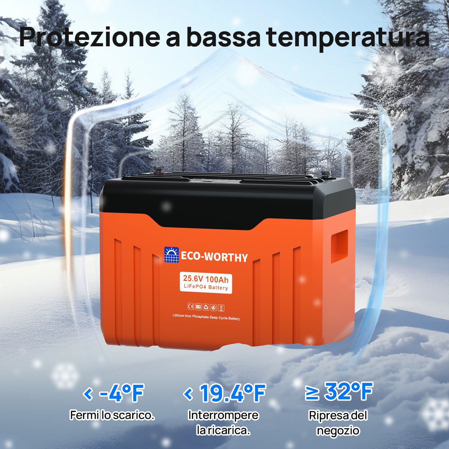Batteria al litio Bluetooth LiFePO4 da 24 V e 100 Ah con protezione dalle basse temperature, luce LED SOC e BMS da 100 A
