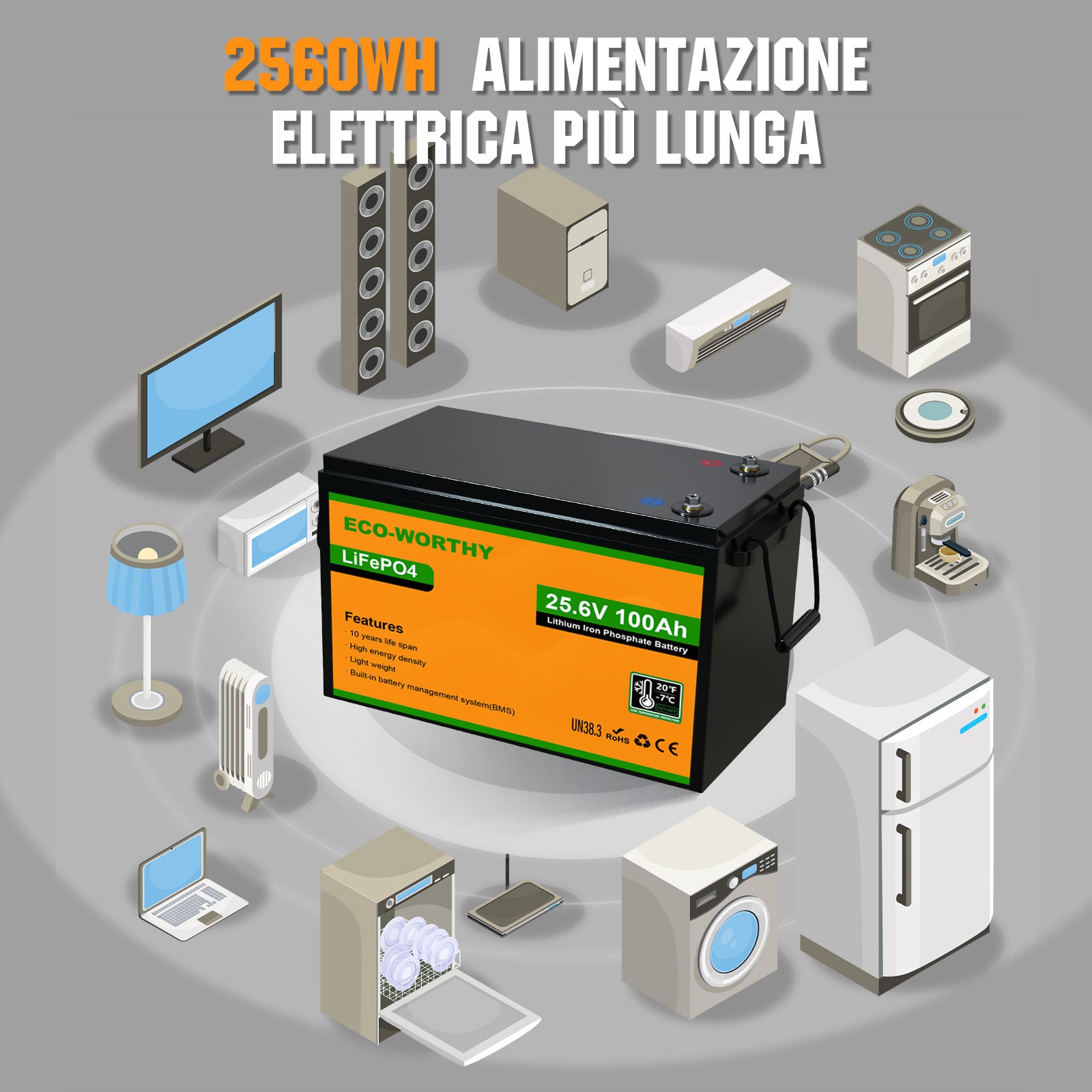 Batteria al litio 24V 100Ah LiFePO4—Protezione Dalle Basse Temperature
