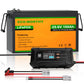 Batteria al litio 24V 100Ah LiFePO4