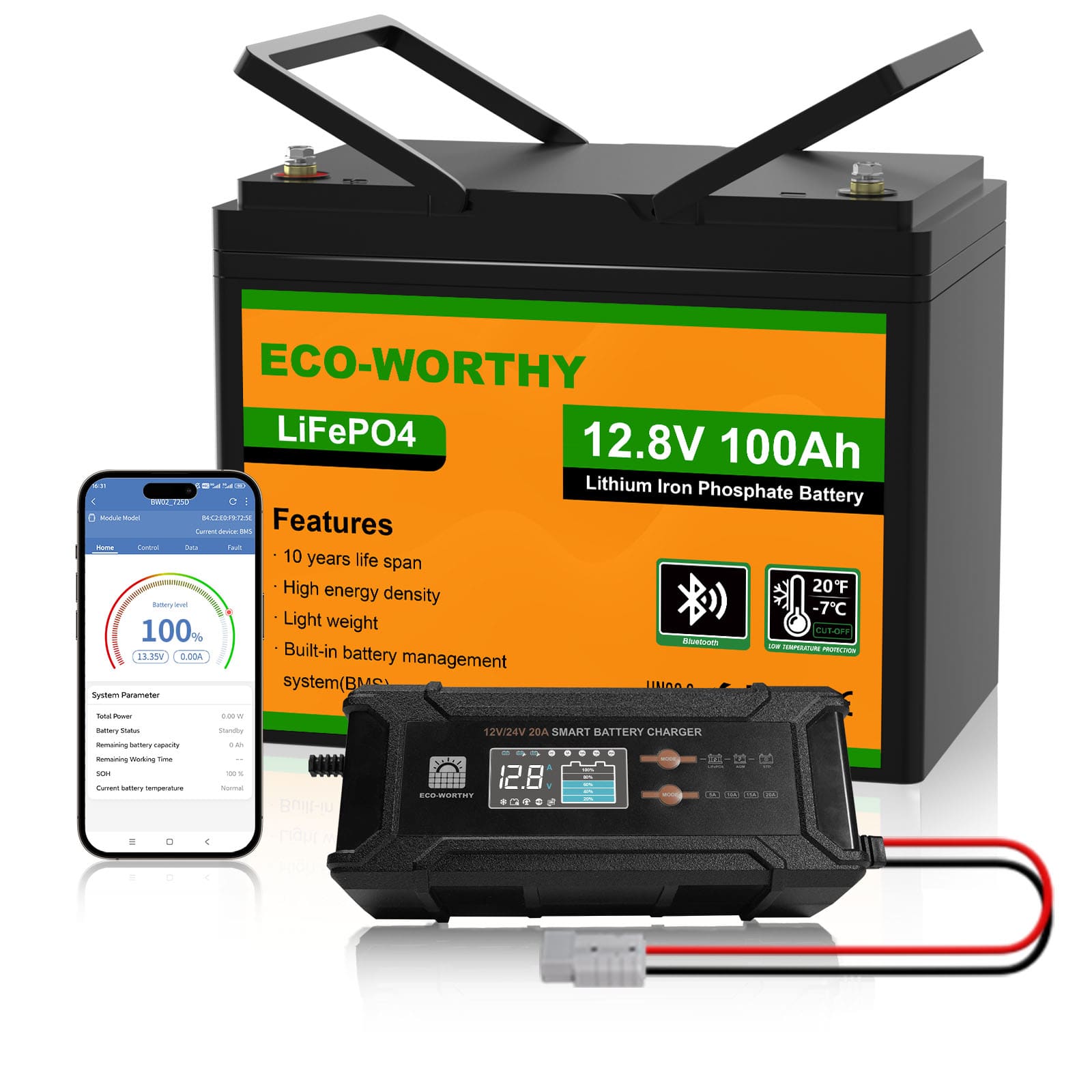 Batteria al litio LiFePO4 12V 100Ah con Bluetooth e protezione dalle basse temperature