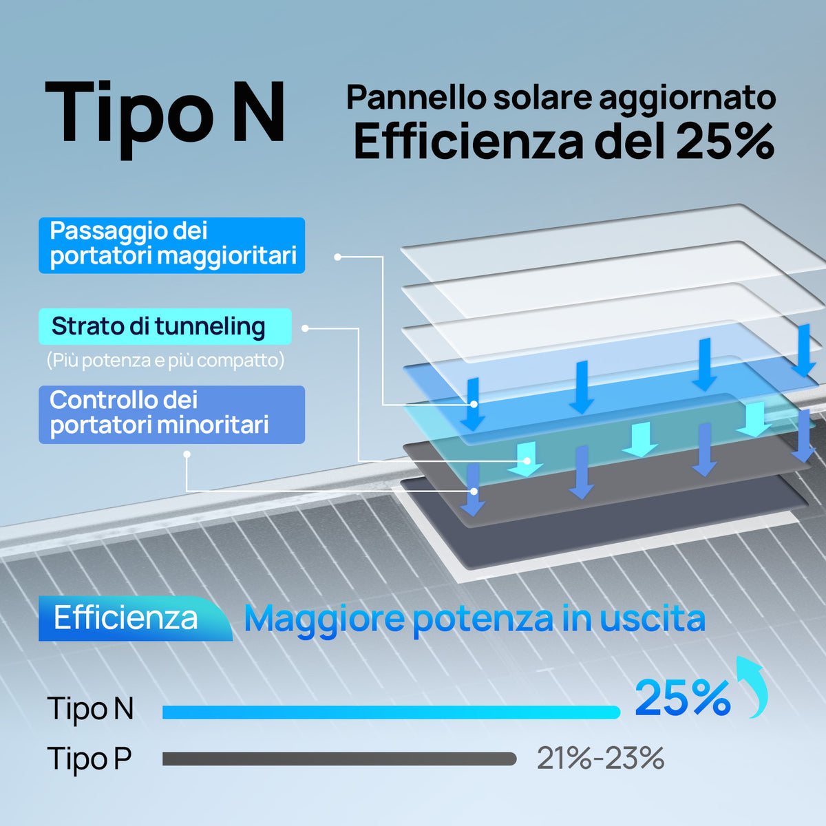 ECO-WORTHY Bifacciale 195W 12V Pannello Solare Monocristallino