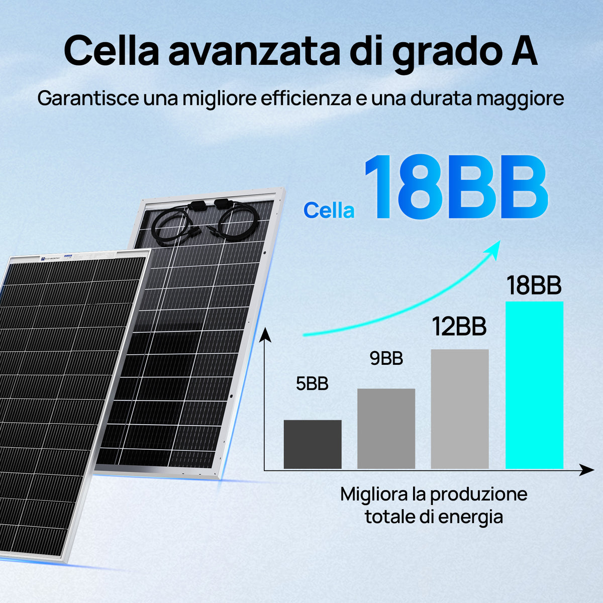 ECO-WORTHY Bifacciale 195W 12V Pannello Solare Monocristallino