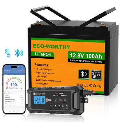 Batteria al litio 12V 100Ah LiFePO4 con Bluetooth