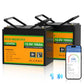 Batteria al litio 12V 100Ah LiFePO4 con Bluetooth