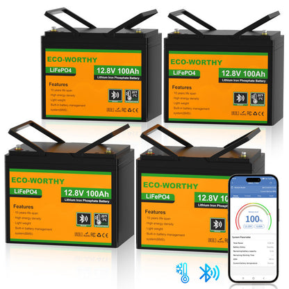 Batteria al litio 12V 100Ah LiFePO4 con Bluetooth