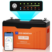 Batteria al litio Bluetooth LiFePO4 da 24V e 100 Ah con protezione dalle basse temperature, luce LED SOC e BMS da 100 A