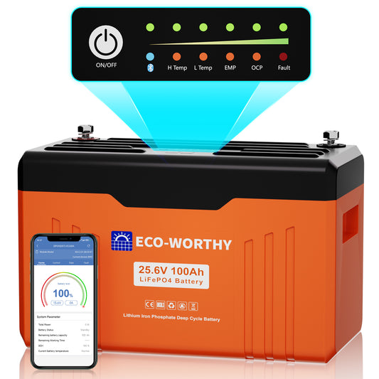 Batteria al litio Bluetooth LiFePO4 da 24V e 100 Ah con protezione dalle basse temperature, luce LED SOC e BMS da 100 A
