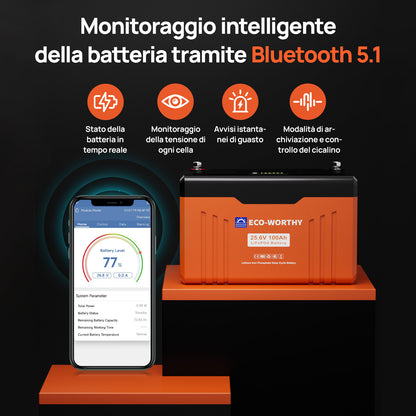Batteria al litio Bluetooth LiFePO4 da 24V e 100 Ah con protezione dalle basse temperature, luce LED SOC e BMS da 100 A - eco - worthy - it