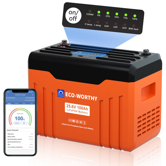 Batteria_al_litio_LiFePO4_24V_100Ah_con_Bluetooth_e_WiFi_1