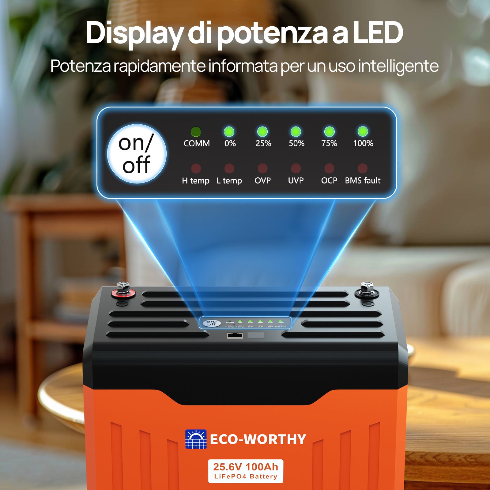 Batteria_al_litio_LiFePO4_24V_100Ah_con_Bluetooth_e_WiFi_2