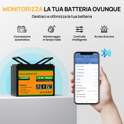 Panoramica funzioni Bluetooth: monitoraggio in tempo reale, controllo intelligente e avvisi di errore via app.