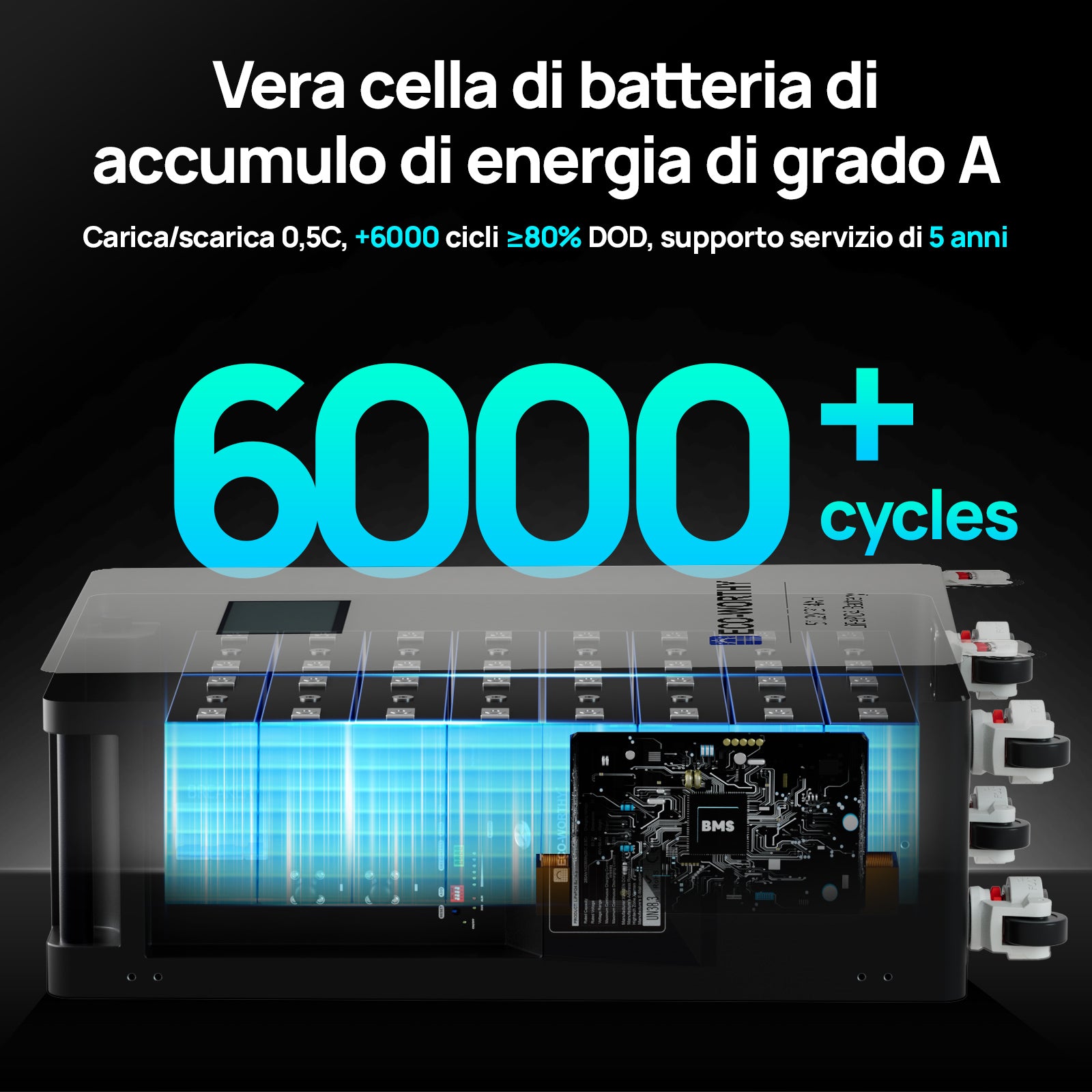 Celle di Grado A con oltre 6000 cicli di carica al 80% DOD per accumulo energetico domestico.