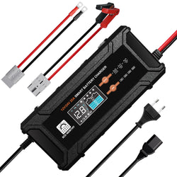 Caricabatterie intelligente 20A 12V/24V con display LCD per la maggior parte delle batterie