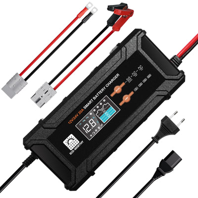 Caricabatterie intelligente 20A 12V/24V con display LCD per la maggior parte delle batterie - eco - worthy - it