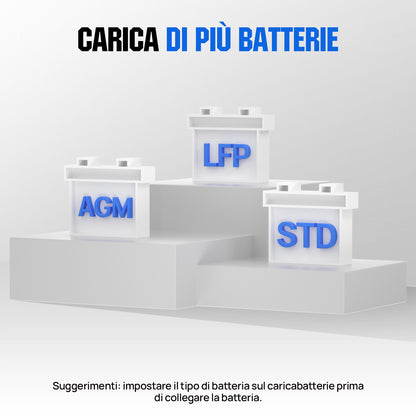 Caricabatterie intelligente 20A 12V/24V con display LCD per la maggior parte delle batterie - eco - worthy - it