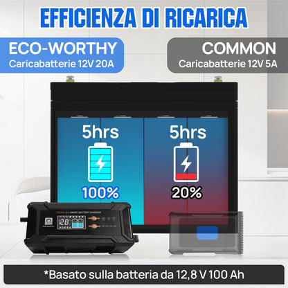 Caricabatterie intelligente 20A 12V/24V con display LCD per la maggior parte delle batterie - eco - worthy - it