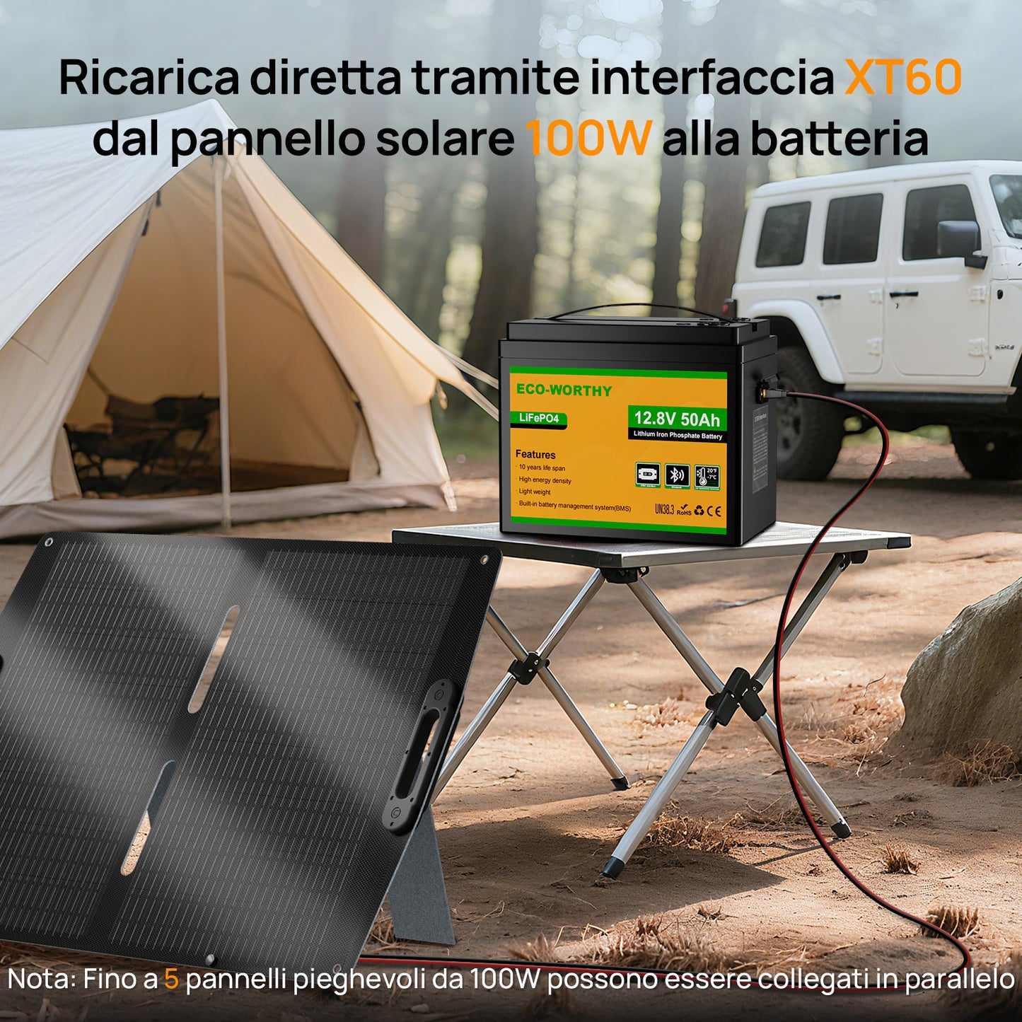 Eco-Worthy Batteria 12V 50Ah LiFePO4 con XT60, Bluetooth, BMS e protezione dalle basse temperature