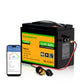 Eco-Worthy Batteria 12V 50Ah LiFePO4 con XT60, Bluetooth, BMS e protezione dalle basse temperature