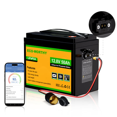 Eco-Worthy Batteria 12V 50Ah LiFePO4 con XT60 con Bluetooth