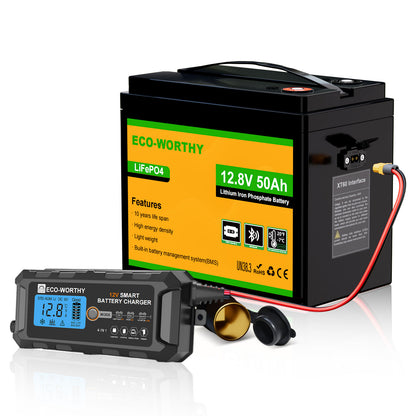 Eco-Worthy Batteria 12V 50Ah LiFePO4 con XT60, Bluetooth, BMS e protezione dalle basse temperature