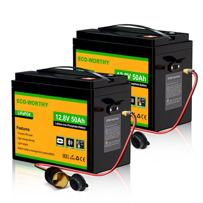 Eco-Worthy Batteria 12V 50Ah LiFePO4 con XT60, Bluetooth, BMS e protezione dalle basse temperature
