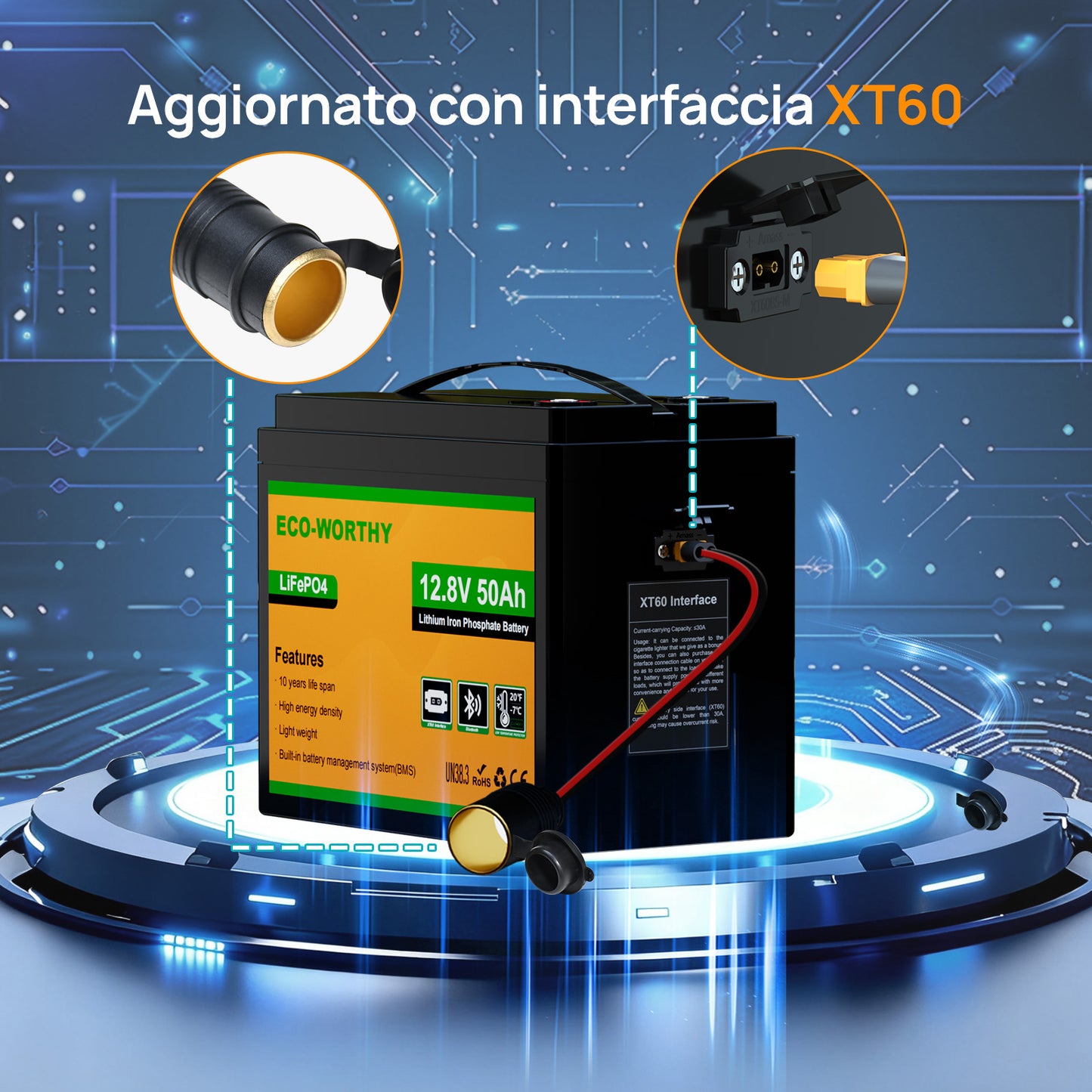 Eco-Worthy Batteria 12V 50Ah LiFePO4 con XT60, Bluetooth, BMS e protezione dalle basse temperature