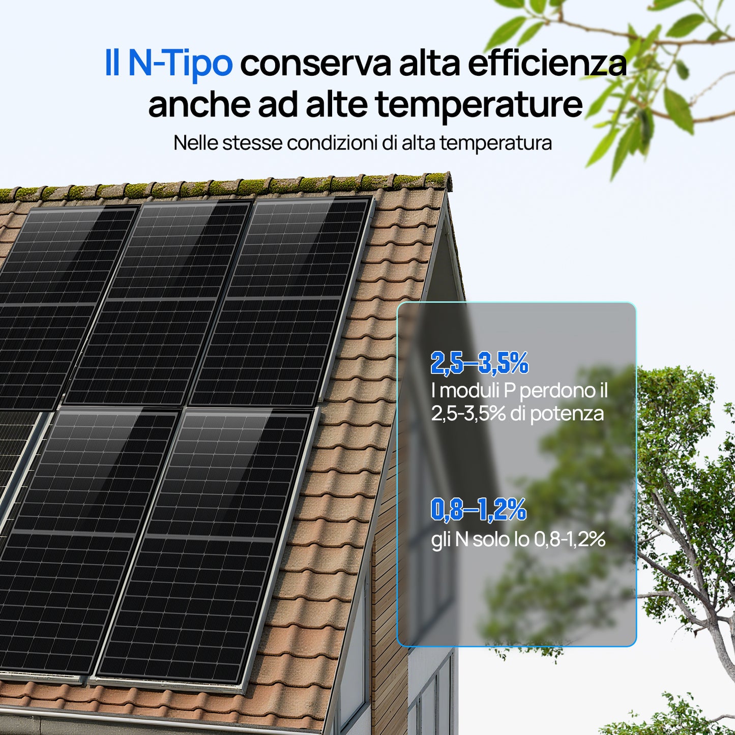Eco-Worthy 430W Pannello Solare Mono N-Type