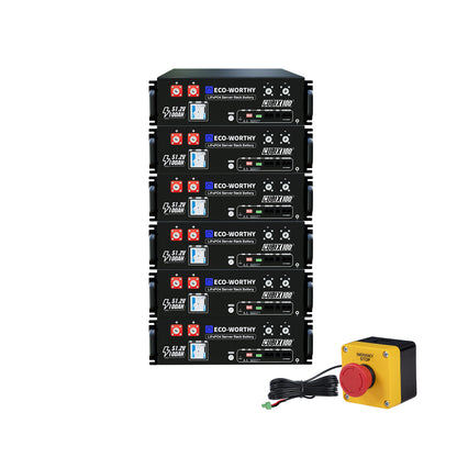 Eco-Worthy Batteria LiFePO4 Rack 48V 100Ah con Bluetooth & WiFi | Garanzia 10 anni