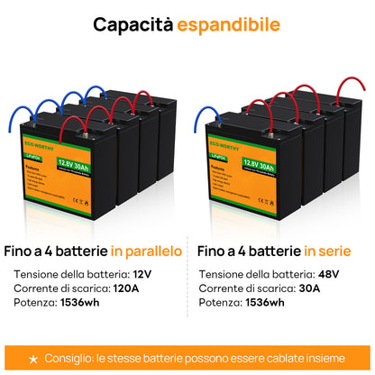 Batteria al litio 12V 30Ah LiFePO4 - eco - worthy - it