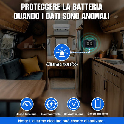 Monitoraggio della batteria 300A con Display tattile da 3.5" sensore Hall per AGM e Lithium (LifePO4) - eco - worthy - it