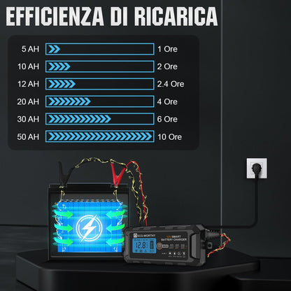Caricabatteria intelligente automatico da 5A e 10A 12V con display LCD per batterie al litio (LiFePO4) - eco - worthy - it